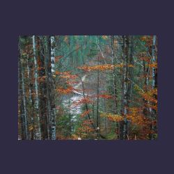 2012-10-20_Fall_AQUILA (333)b.JPG